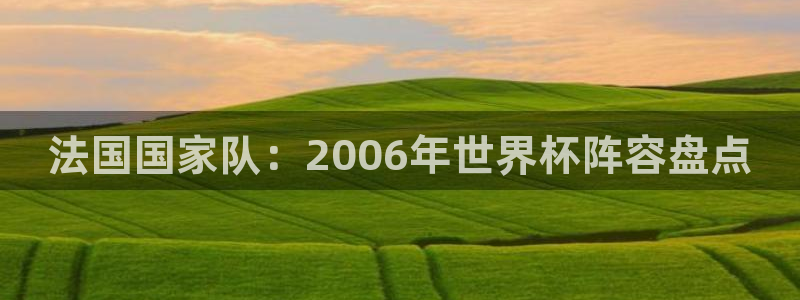 2026世界杯预选赛:法国国家队:2006年世界杯阵容盘点