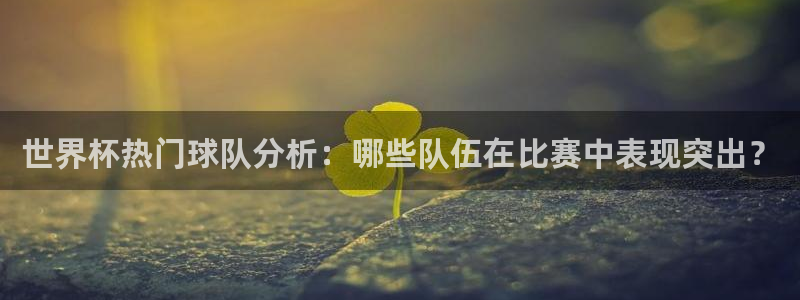 2026世界杯官网入口:世界杯热门球队分析:哪些队伍在比赛中表现突出?