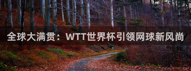 26世界杯:全球大满贯:WTT世界杯引领网球新风尚