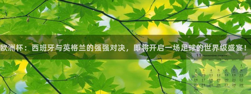 2026世界杯欧洲预选赛赛程表:欧洲杯:西班牙与英格兰的强强对决,即将开启一场足球的世界级盛宴!