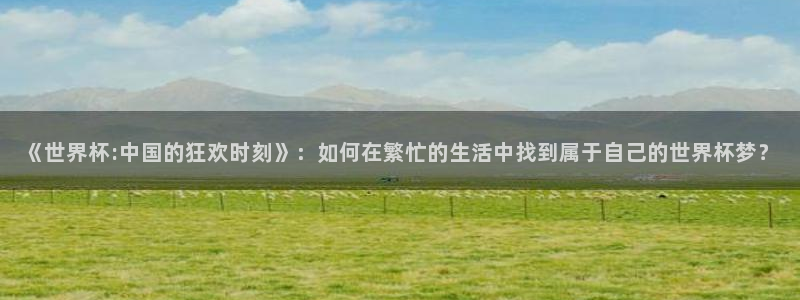 2026年世界杯直播平台:《世界杯:中国的狂欢时刻》:如何在繁忙的生活中找到属于自己的世界杯梦?