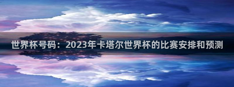 世界杯:世界杯号码:2023年卡塔尔世界杯的比赛安排和预测