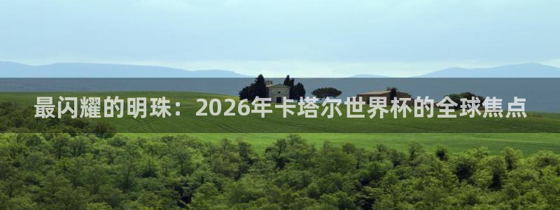 世界杯球队排名:最闪耀的明珠:2026年卡塔尔世界杯的全球焦点