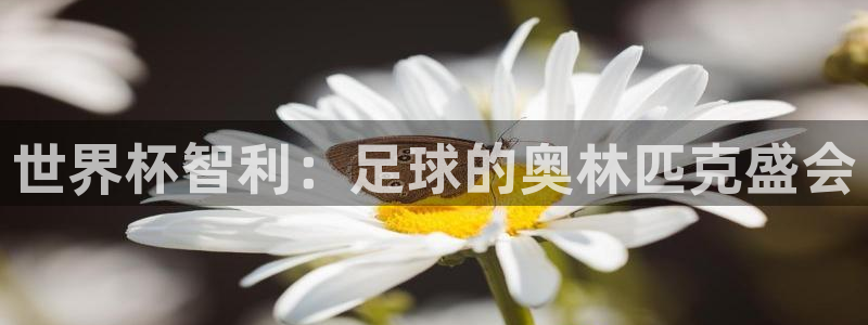 世界杯官网:世界杯智利:足球的奥林匹克盛会