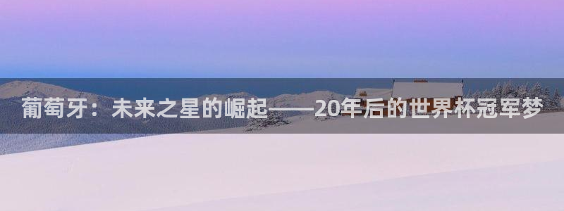 足球世界杯预选赛:葡萄牙:未来之星的崛起——20年后的世界杯冠军梦