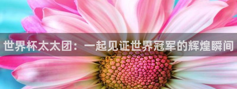 世界杯对阵表:世界杯太太团:一起见证世界冠军的辉煌瞬间