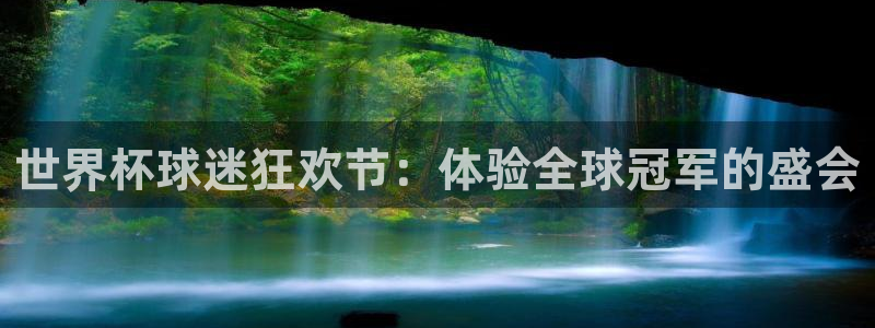 世界杯 直播:世界杯球迷狂欢节:体验全球冠军的盛会