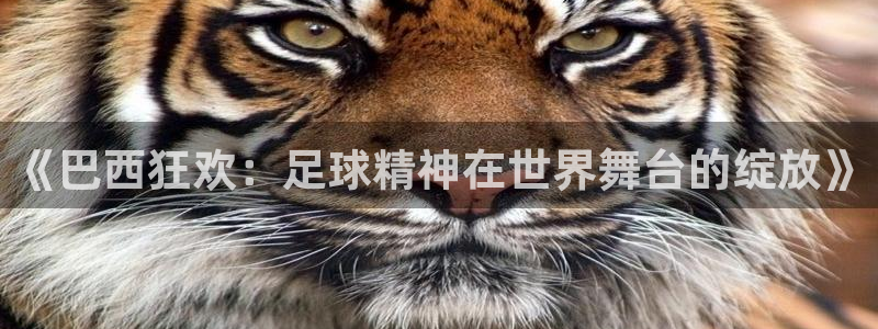 世界杯预选赛亚洲区积分榜:《巴西狂欢:足球精神在世界舞台的绽放》
